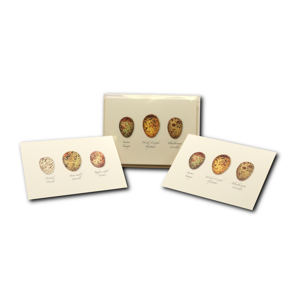 Boxed Notecard Assortment Bird Egg II Set of 8